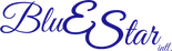 Blue Star Intl